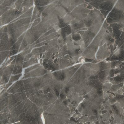 Champeign Grey